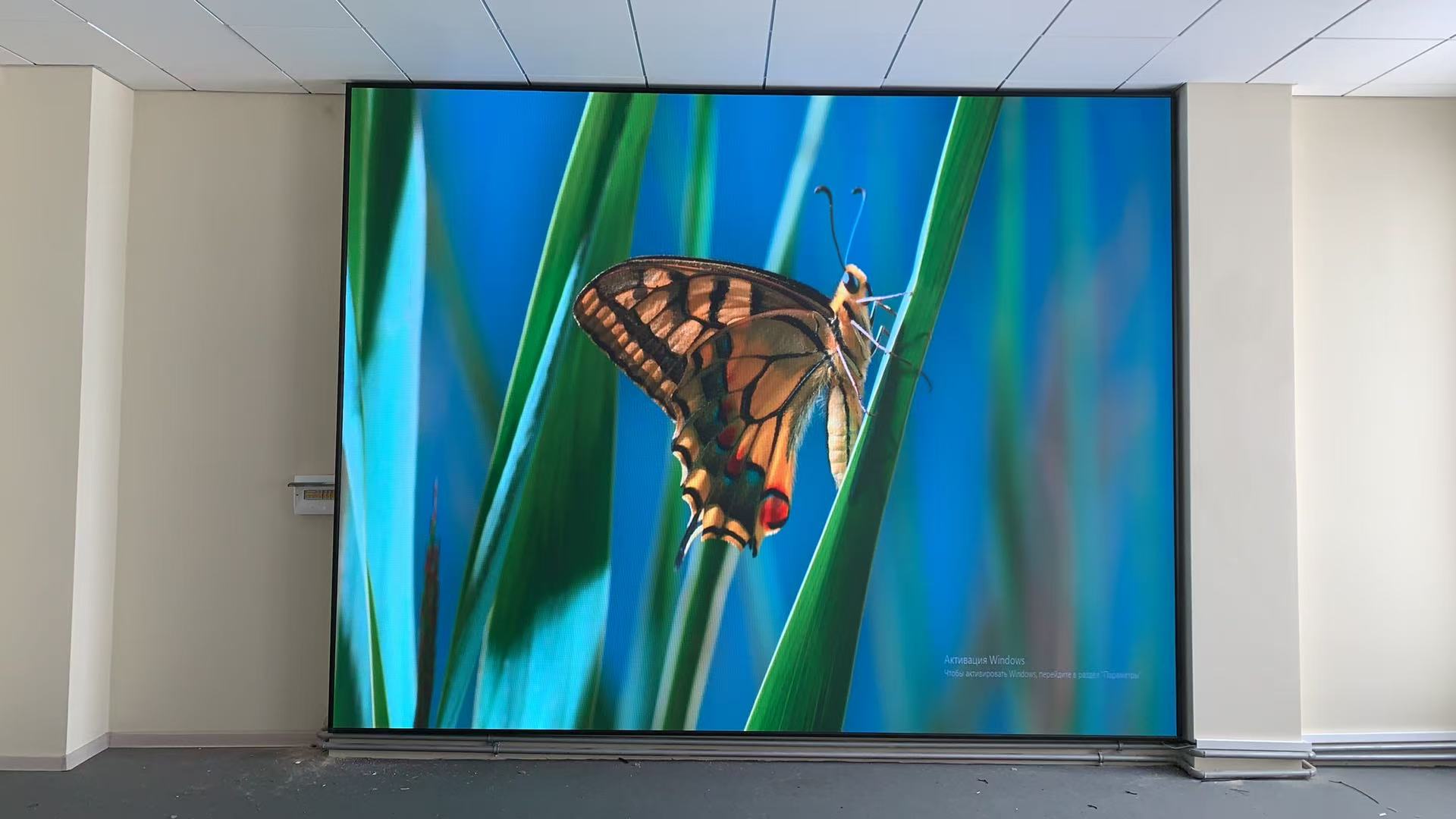 Интерьерный экран для института