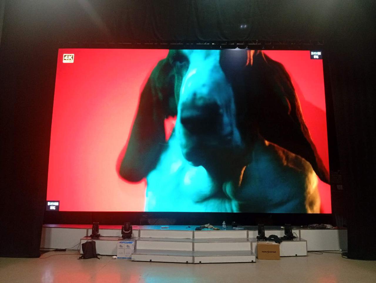 Интерьерный экран для МБУК "МКЦ г. Рязани" - фото 2