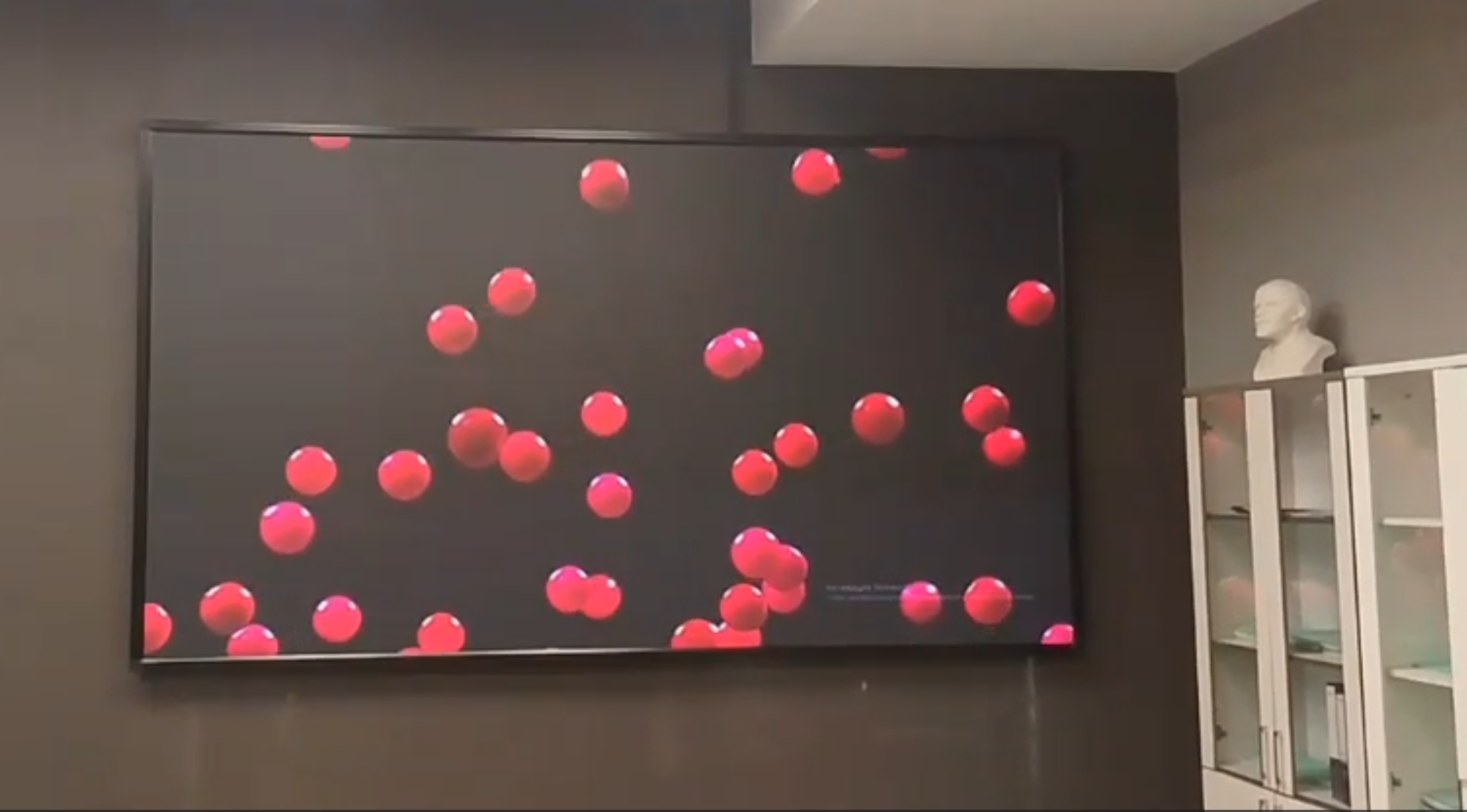 Интерьерный экран для офиса - фото 1