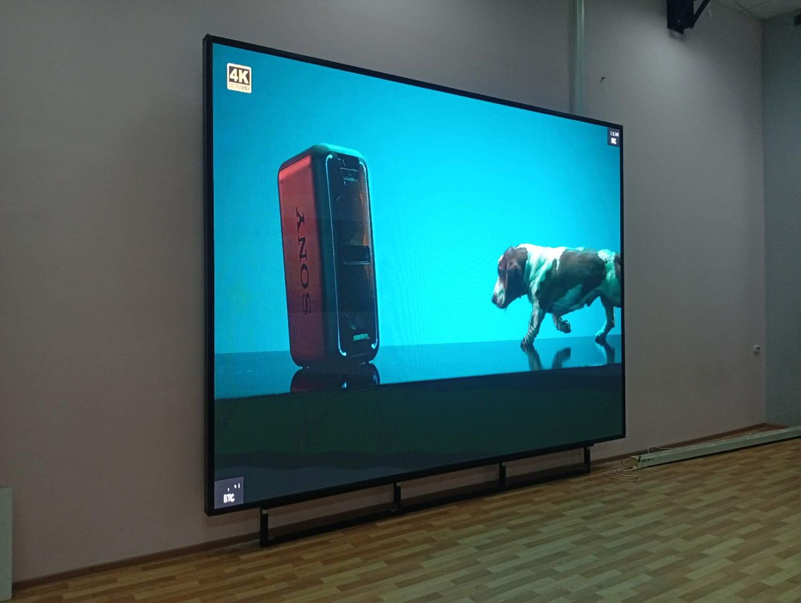 Интерьерный экран  Р2.5, для МБОУ «Гимназия №6» г. Муром - фото 2