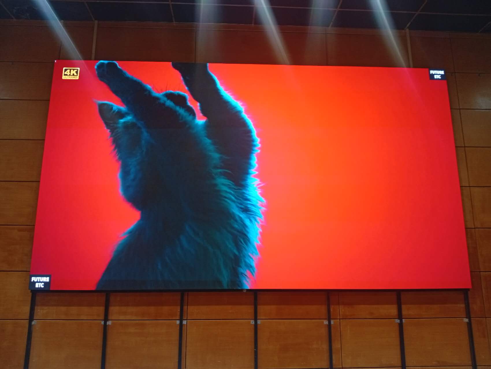 Интерьерный экран  Р2, для МБУ «Конькобежный центр «Коломна»