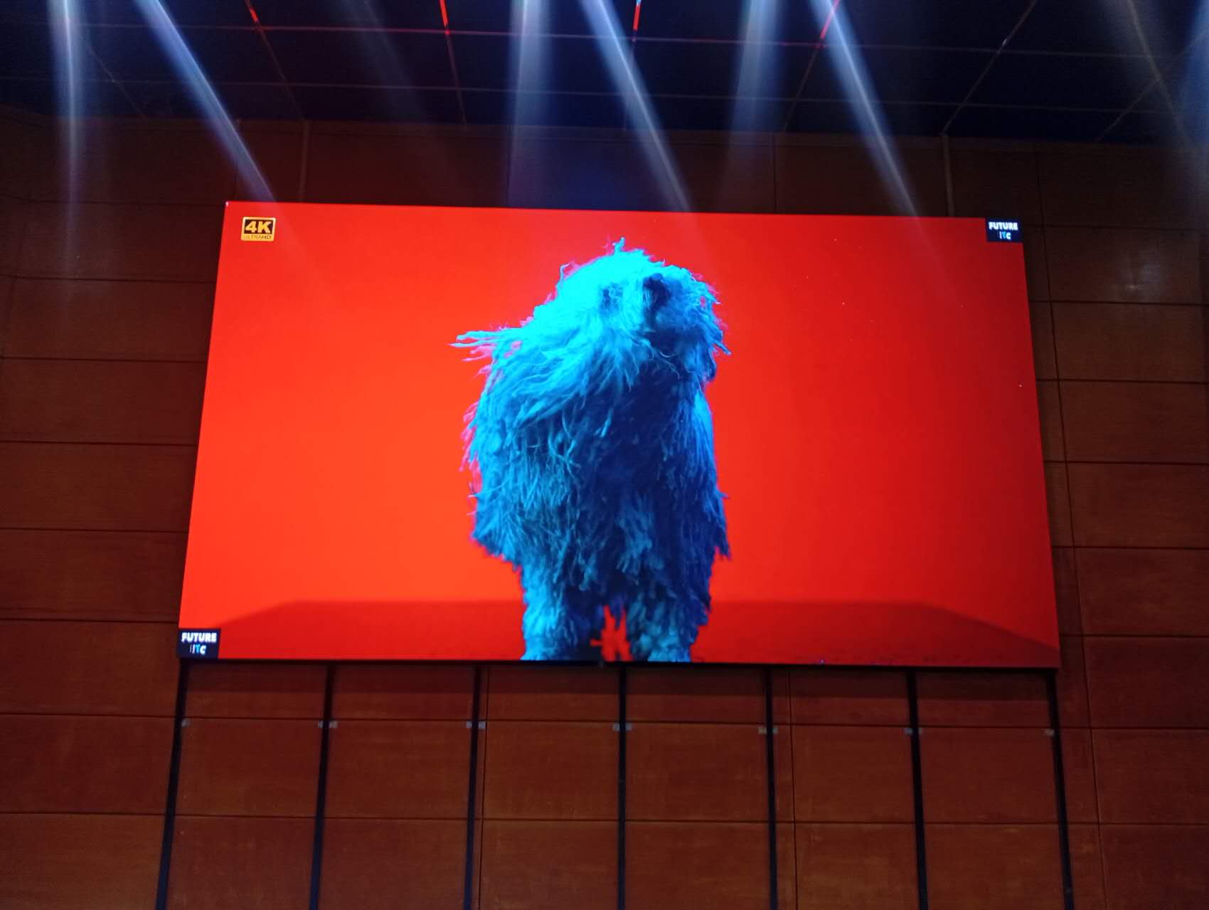 Интерьерный экран  Р2, для МБУ «Конькобежный центр «Коломна» - фото 1