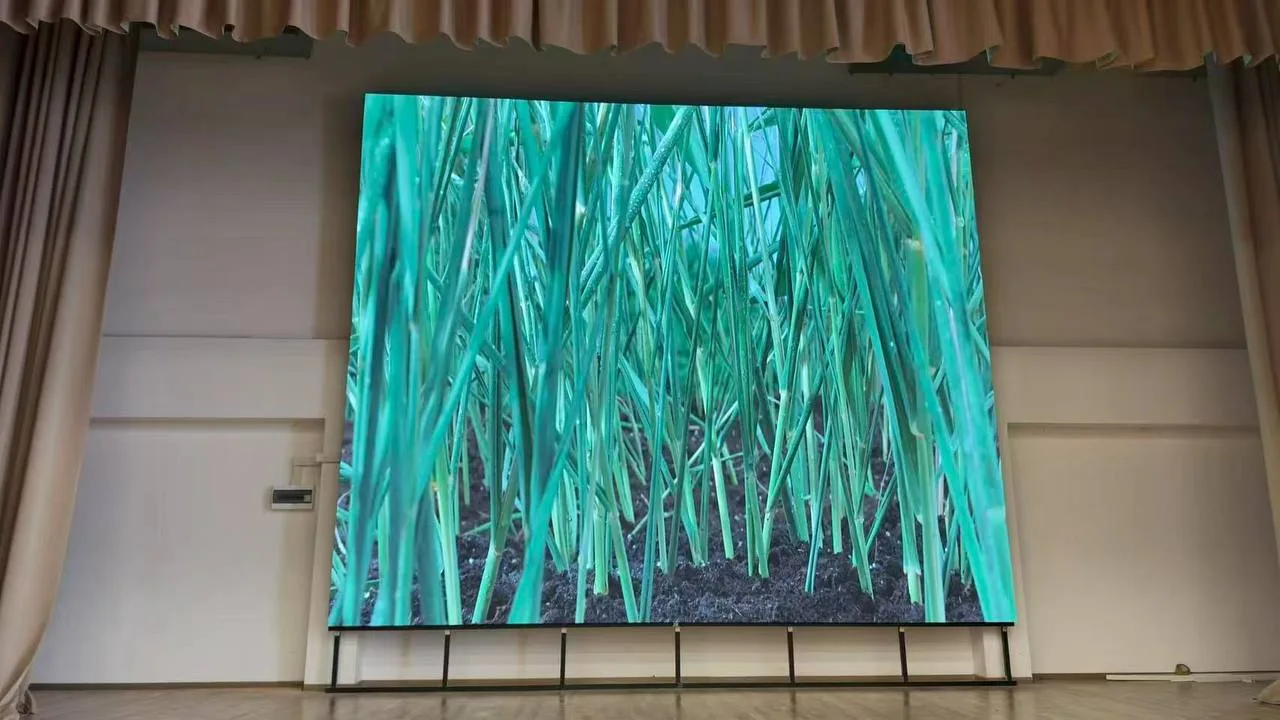 Интерьерный LED экран Р2,976 для МОУ «Лицей №1 пос. Львовский» - фото 1